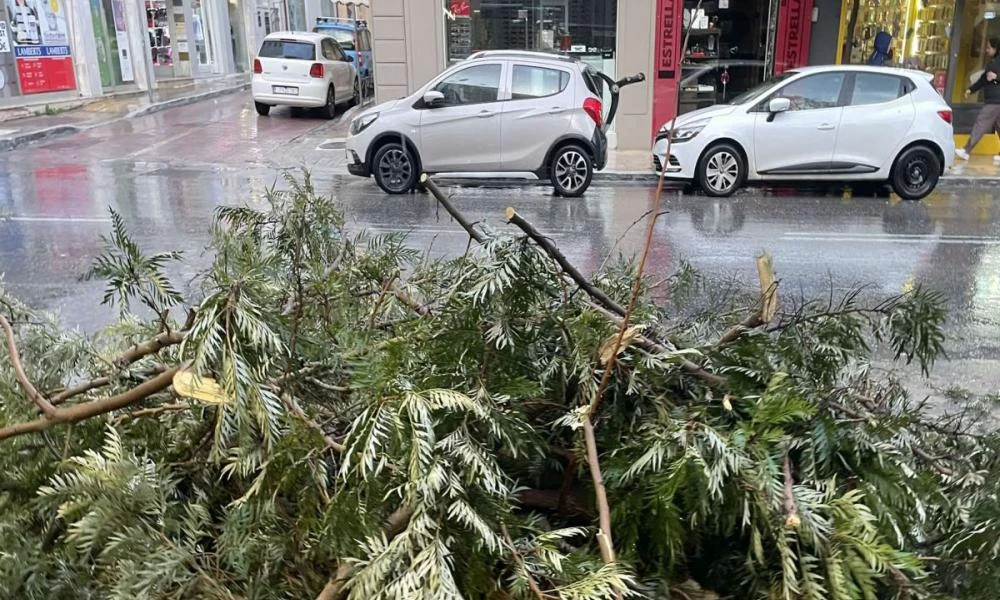 Κακοκαιρία στα Χανιά: Σπασμένα κλαδιά στους δρόμους - Αποκολλήθηκε λαμαρίνα στο κέντρο της πόλης